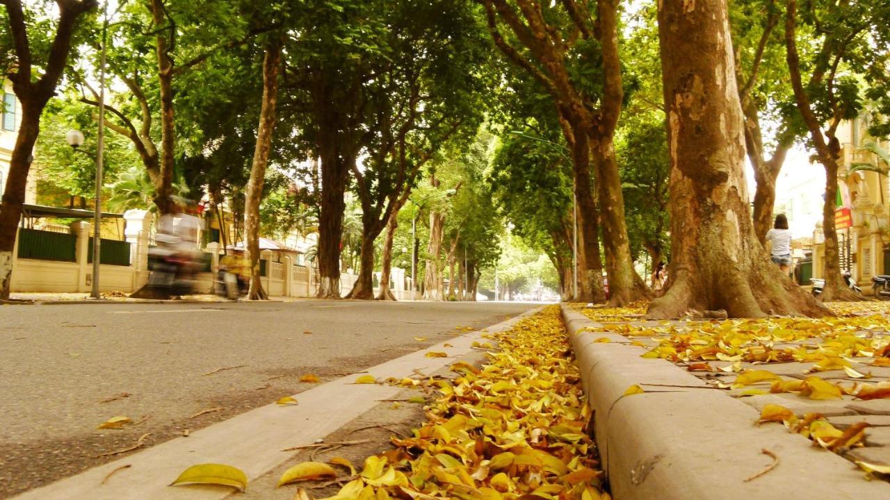 بيت شباب زوستاي باكباكرز هانوي المظهر الخارجي الصورة